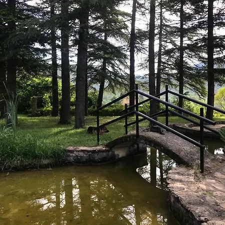 Els Avets De La Muga Sant Llorenc de la Muga