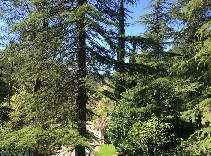 Els Avets De La Muga Sant Llorenc de la Muga