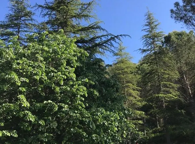 Bed & Breakfast Els Avets De La Muga Sant Llorenc de la Muga
