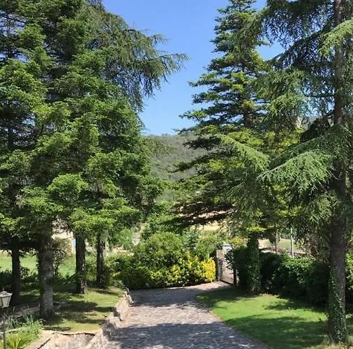 Els Avets De La Muga Sant Llorenc de la Muga