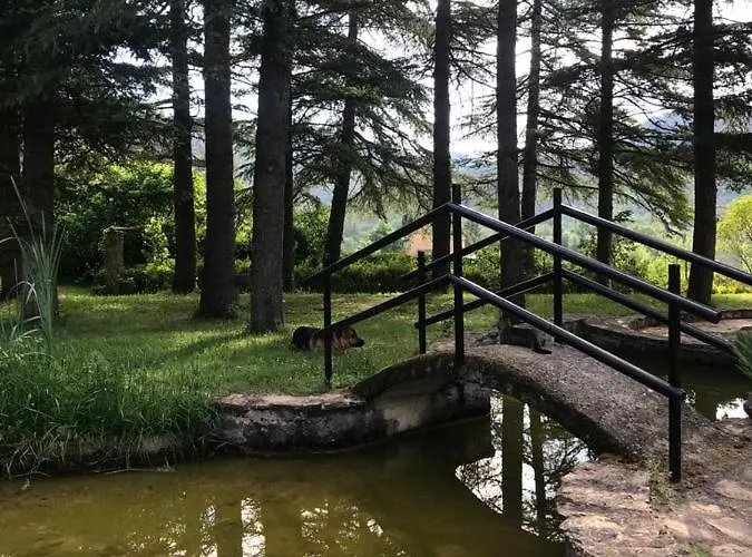 Els Avets De La Muga Sant Llorenc de la Muga