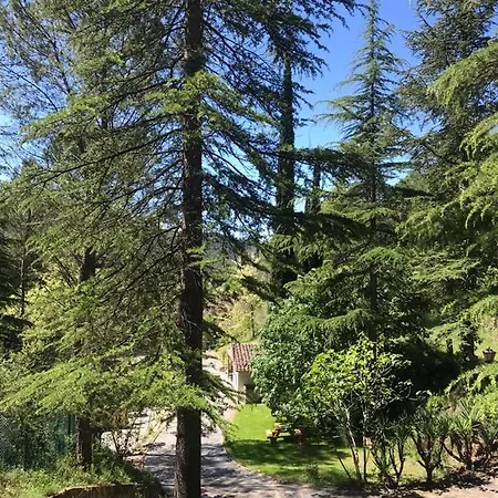 Els Avets De La Muga Sant Llorenc de la Muga