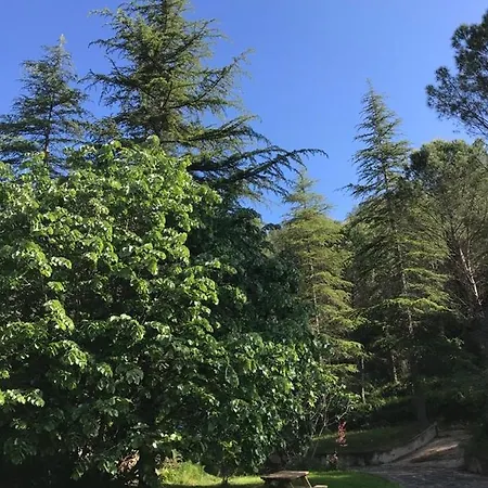 לינה וארוחת בוקר Els Avets De La Muga Sant Llorenc de la Muga