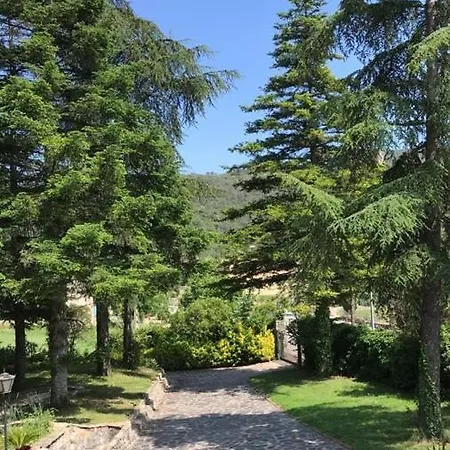 Els Avets De La Muga Sant Llorenc de la Muga