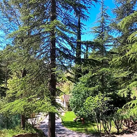 Els Avets De La Muga Sant Llorenc de la Muga
