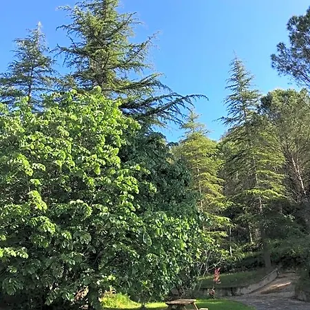 ベッド・アンド・ブレックファスト Els Avets De La Muga Sant Llorenç de la Muga
