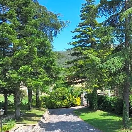 Els Avets De La Muga Sant Llorenç de la Muga