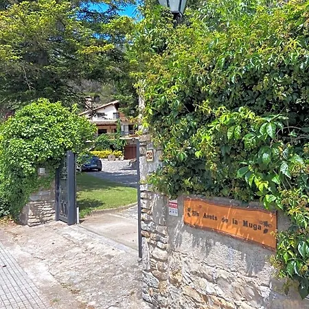 Els Avets De La Muga
